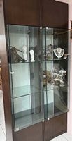 Copia vetrine altezza 225 larghezza 60