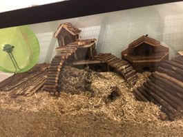 Hamstergehege aus Glas inkl. Zubehör