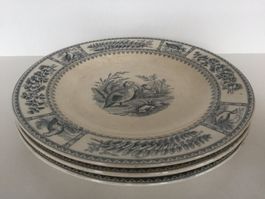 JD & S (JAMES DIXON & SONS) 3 x assiettes/alte Teller (1856)