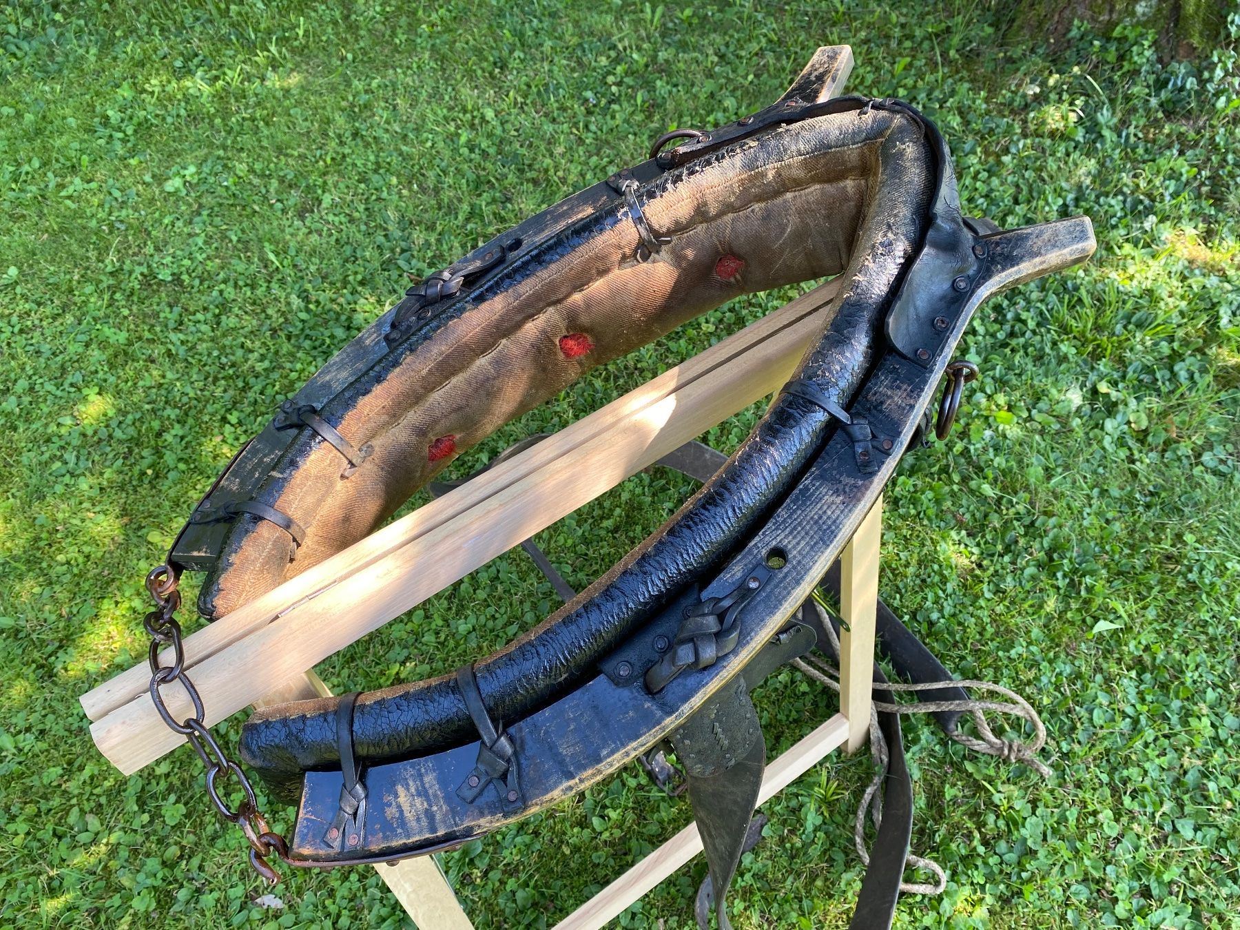 Campanacci mucche: alter original Kuhkummet – Usato da Feldbach venduto da Olive1 4