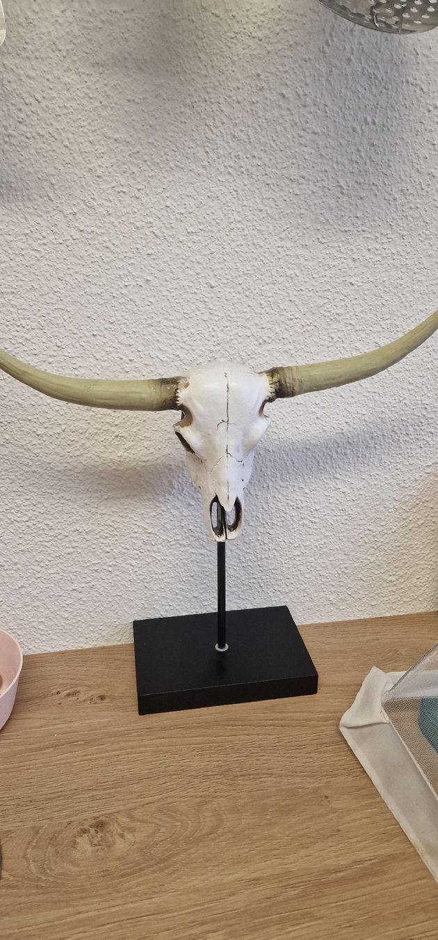Statuette: Büffelkopf Statue mit Ständer neuwertig!! – Nuovo (secondo la descrizione) da Winterthur venduto da somasgrooverz