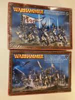 WARHAMMER FANTASY Hochelfen Drachenprinzen von Caledor *RAR*