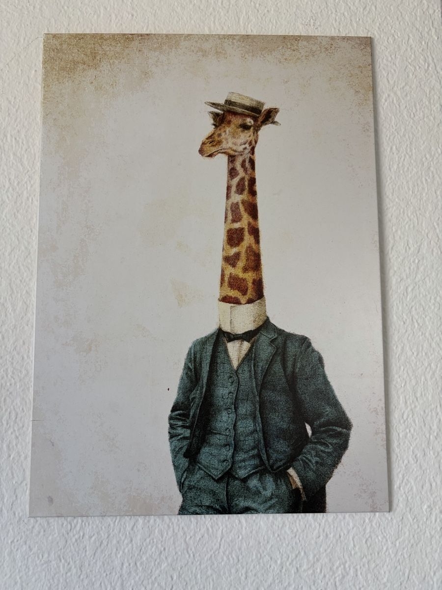 Poster & Bilder: Div. Displate – Gebraucht aus Wabern von flo_s55v 4