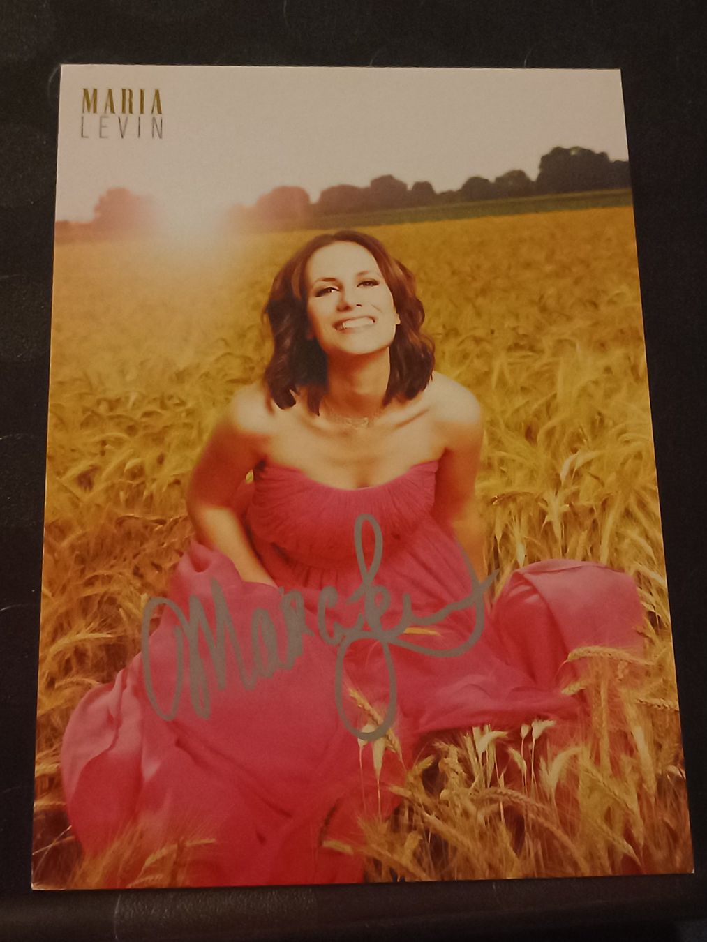 Autografi: Maria Levin - Handsigniert Autogrammkarte – Usato da Menziken venduto da Artographs
