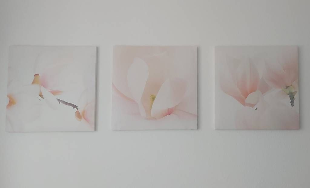 Poster & Bilder: 3-teiliges Bilderset rosa Orchidee – Gebraucht aus Münchenstein von Alicia_Michelle
