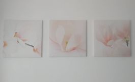 3-teiliges Bilderset rosa Orchidee