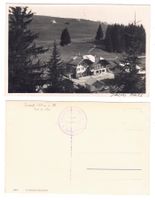Jaunpass