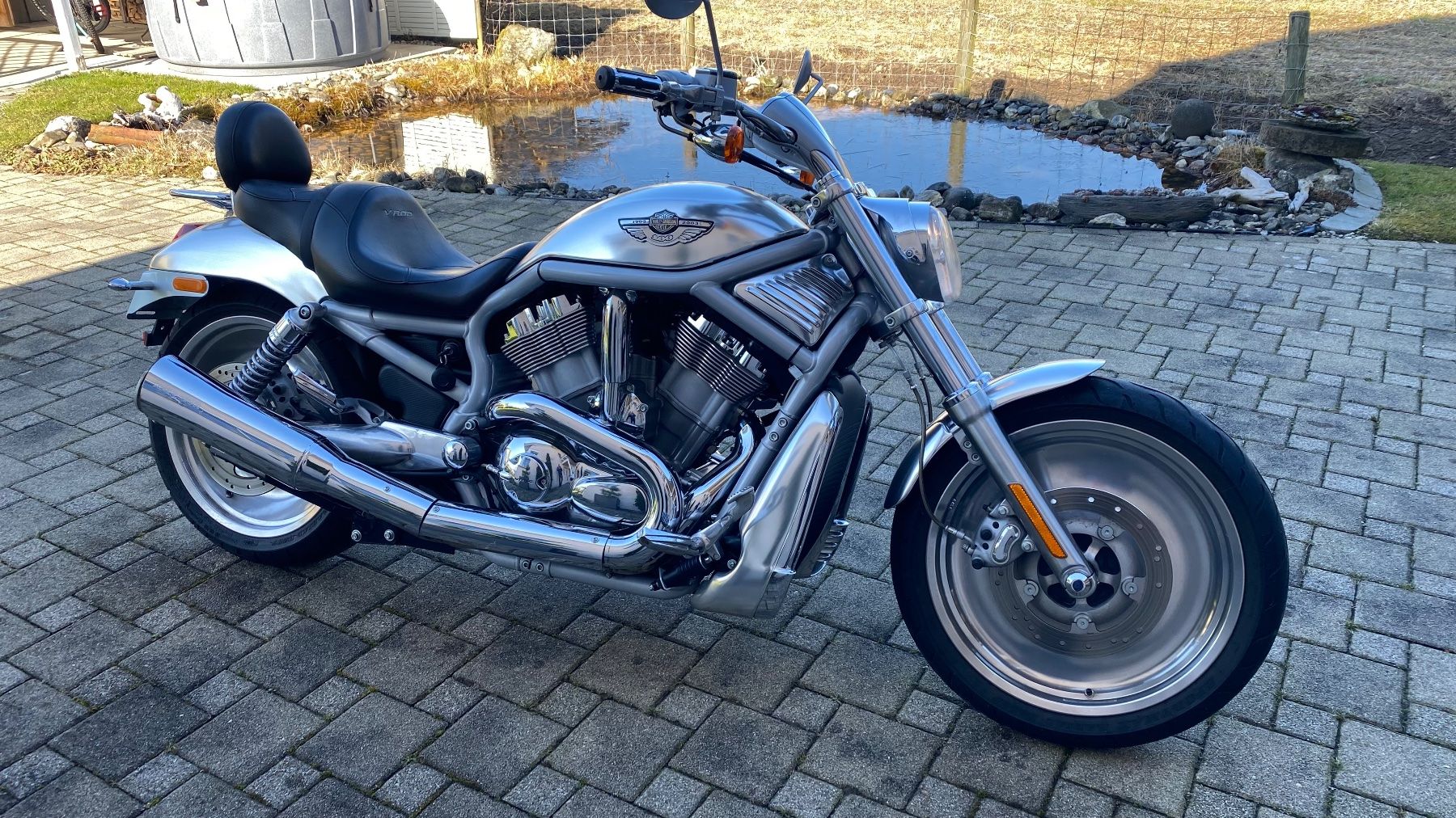Harley-Davidson Chopper: Harley Davidson V-Rod VRSCA, 2003 100 Jahre Harley – Gebraucht aus Egnach von Spezi4