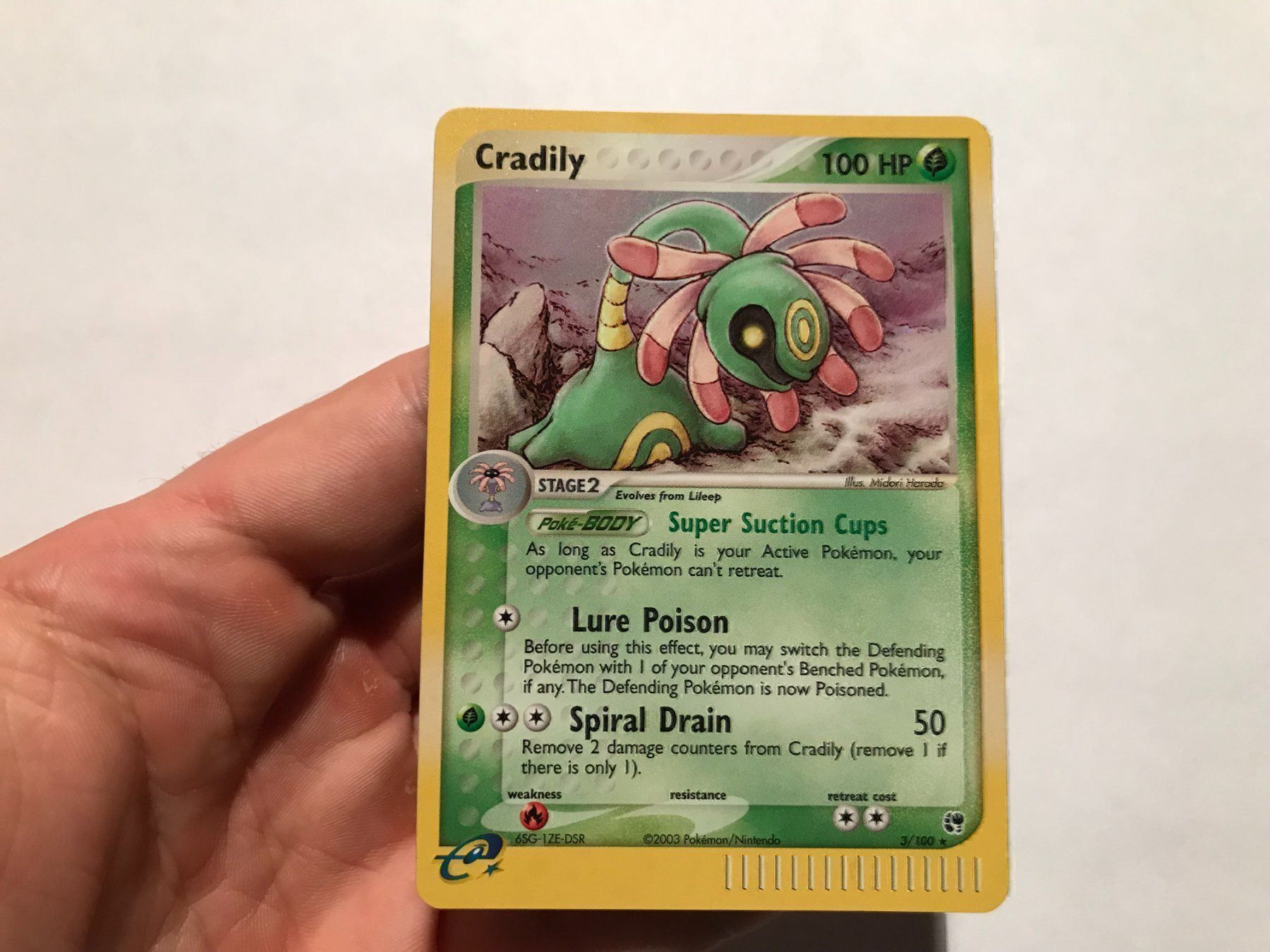 Pokémon Carte collezionabili: Cradily holo NM – Nuovo (secondo la descrizione) da Hagendorn venduto da Pokecollectorch 1