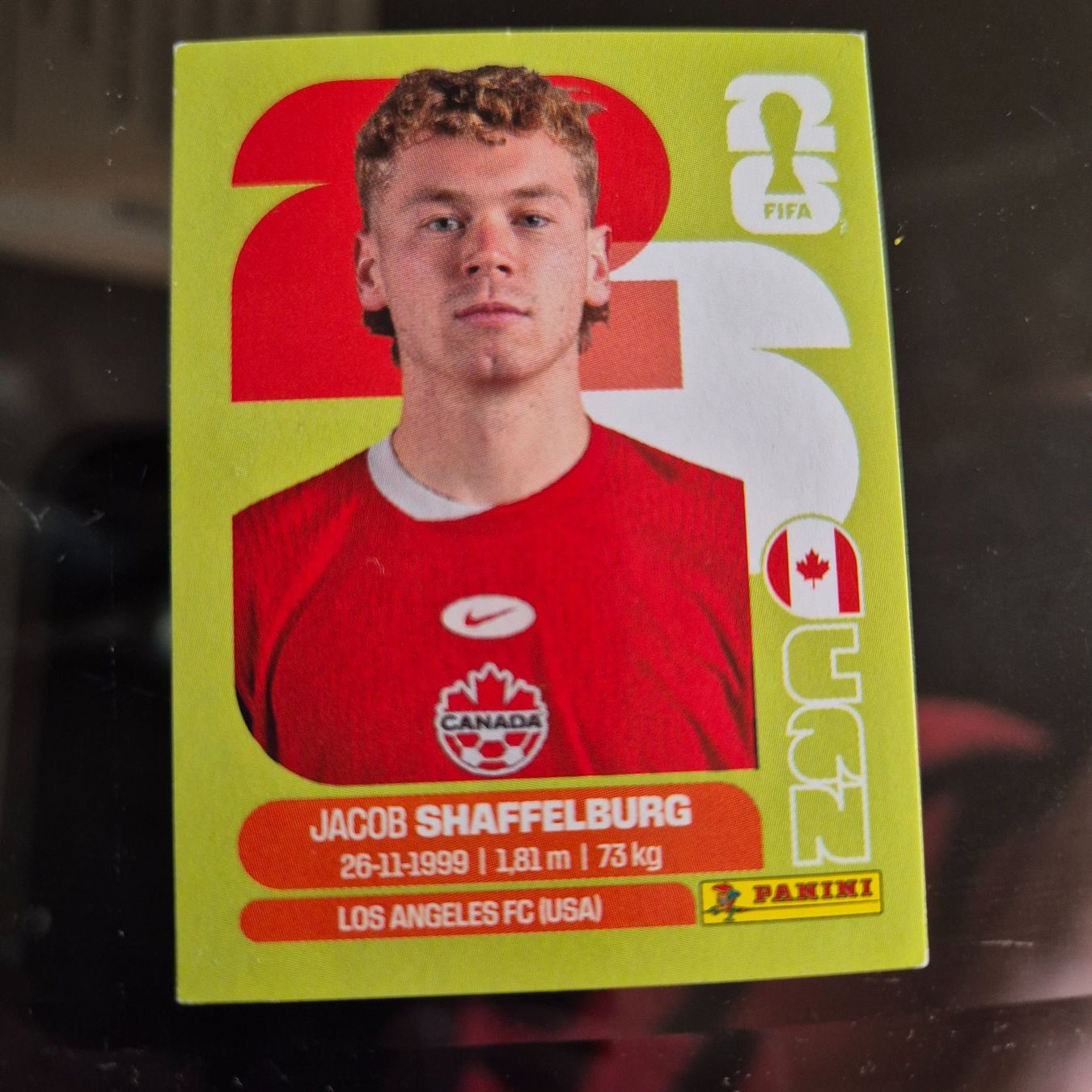 Panini Carte collezionabili: CAN 14 Panini FIFA WM 2026 – Nuovo (secondo la descrizione) da Riehen venduto da tmw_c29m