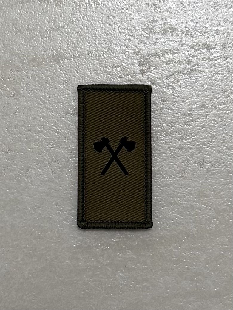 Schweizer Armee Placchette & Badge: Truppengattungsabzeichen Genie Klett – Nuovo (secondo la descrizione) da Haag (Rheintal) venduto da SWB-9469