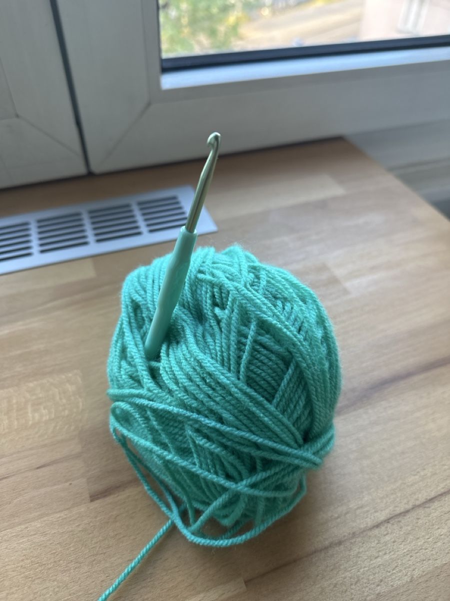 Lana: Teal Crochet Yarn with Hook – Usato da Zürich venduto da justus_grabowsky