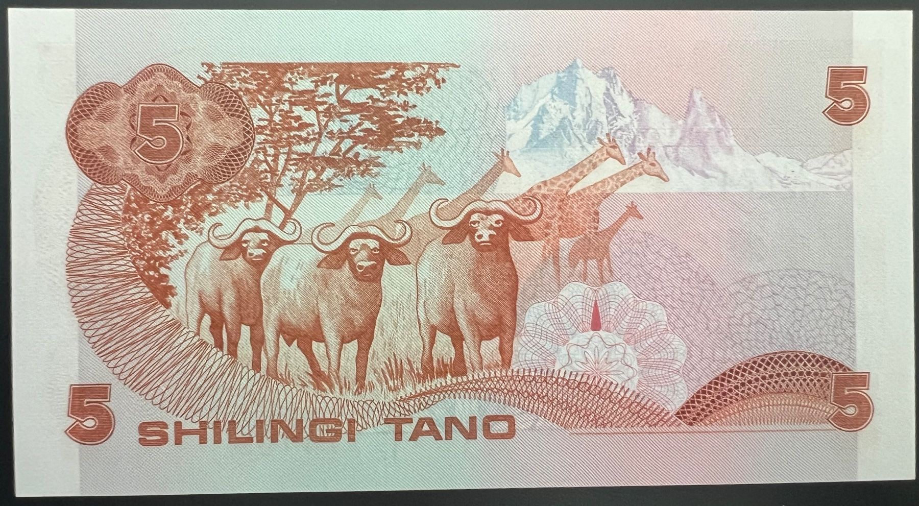 Banconote: Kenya 5 Schillings 1981 - non circ./unz – Nuovo (secondo la descrizione) da Tramelan venduto da MHK79 1