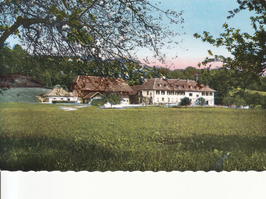 Cartoline postali: St. Petresinsel 1962 – Usato da Bürglen TG venduto da StampGraf