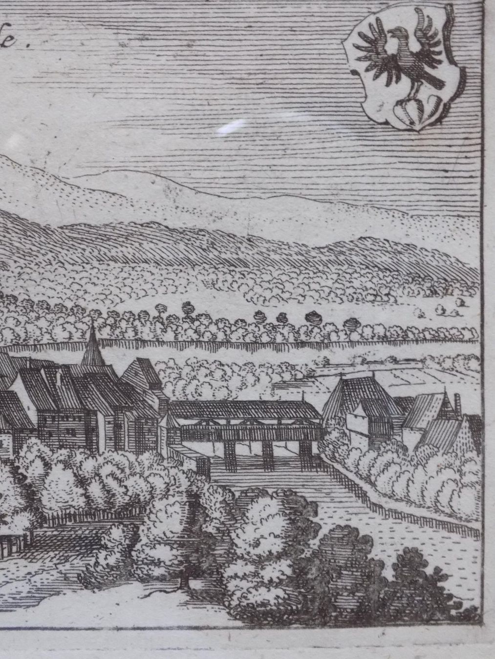 Incisioni: Aarberg von Scheuchzer selten – Usato da Risch venduto da Rischli15 7