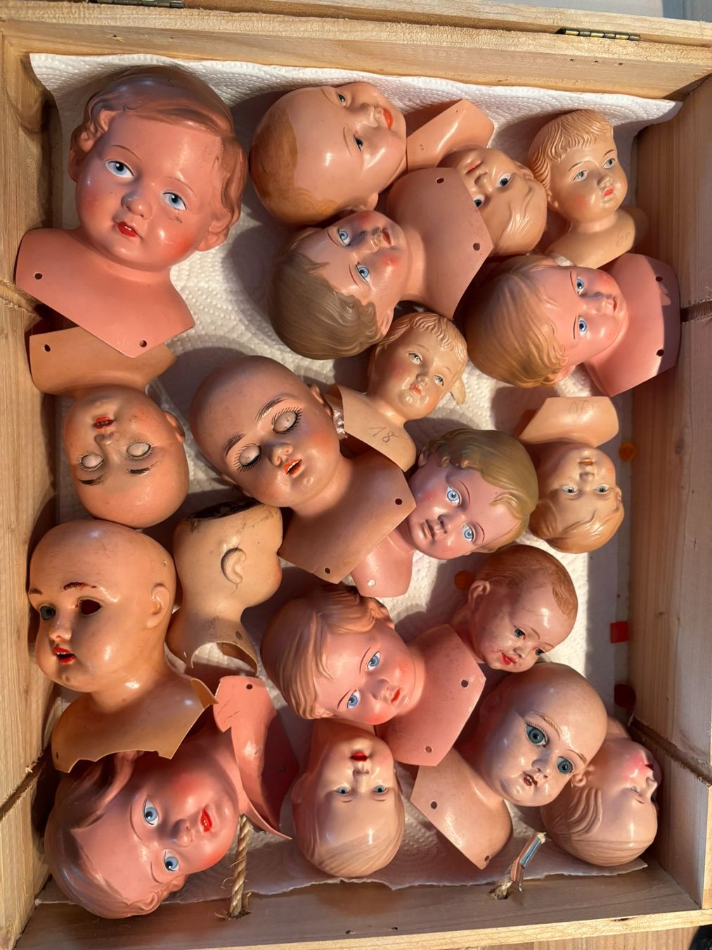Poupées: Grosse Sammlung Puppenköpfe diverse Modelle gebraucht – D'occasion à Beinwil (Freiamt) par Lialina