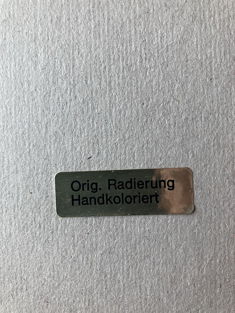 Foto & Immagini: Radierung Grossmünster – Usato da opfikon venduto da reko51 4