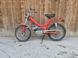 MZV Cambridge mit Minarelli Motor