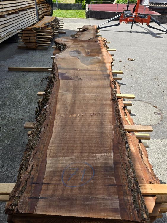Articoli in legno: Nussbaumbrett Nr.71 – Nuovo (secondo la descrizione) da Lützelflüh-Goldb venduto da ch.waelchli-holz.ch 1