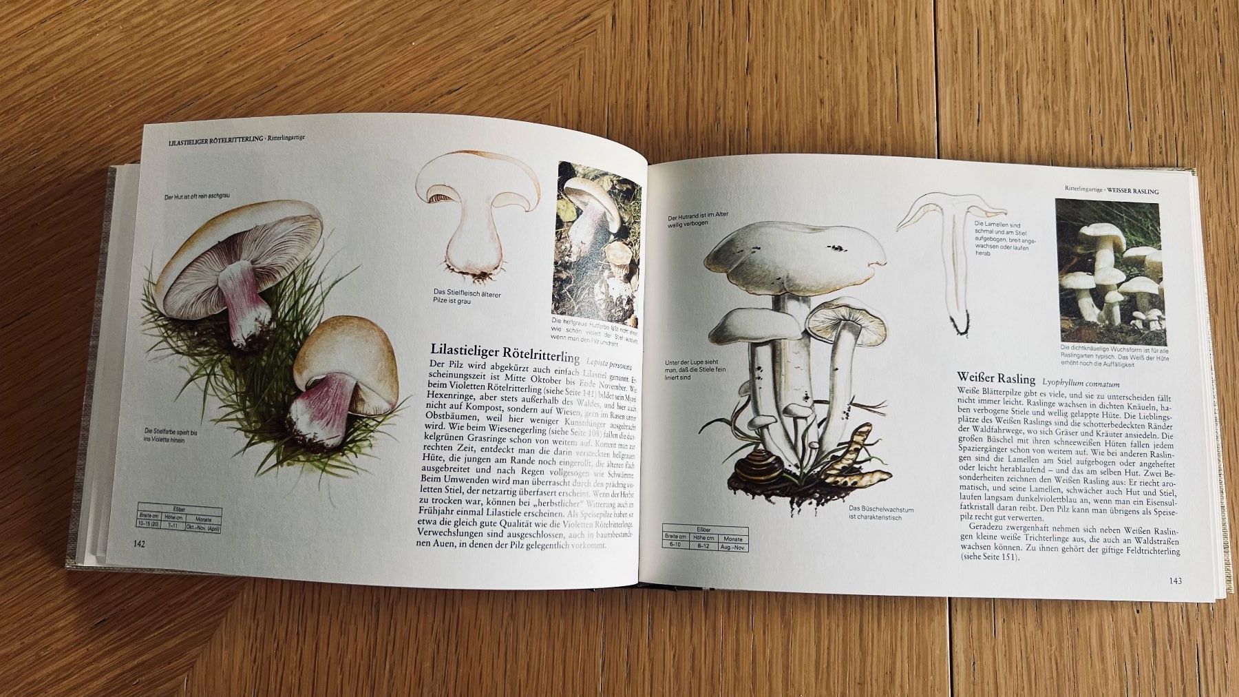 Libri: Pilze Mitteleuropas - Wegweiser Natur,1982 – Usato da Schübelbach venduto da Bemafaja 5