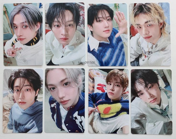 Accessoires pour cheveux: Stray kids: Wolf chan hair pins – Neuf avec emballage d'origine à Lyss par Andromeda12 1