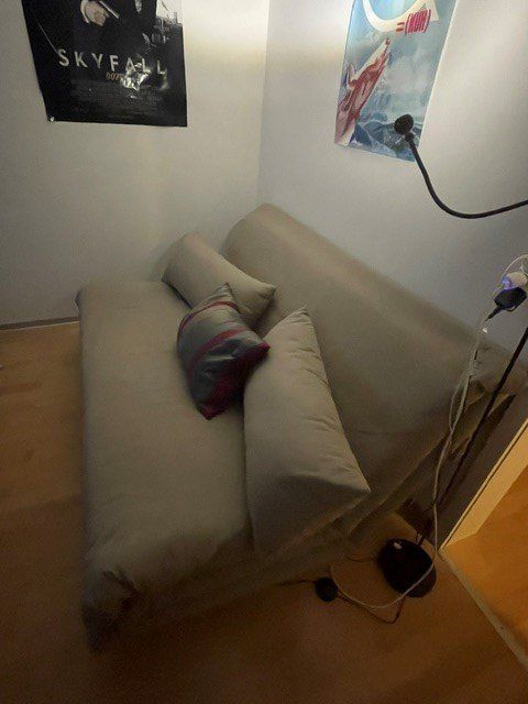 Ligne Roset Divani: Bettsofa hochwertig – Usato da Zauggenried venduto da ClaudineDutti 2