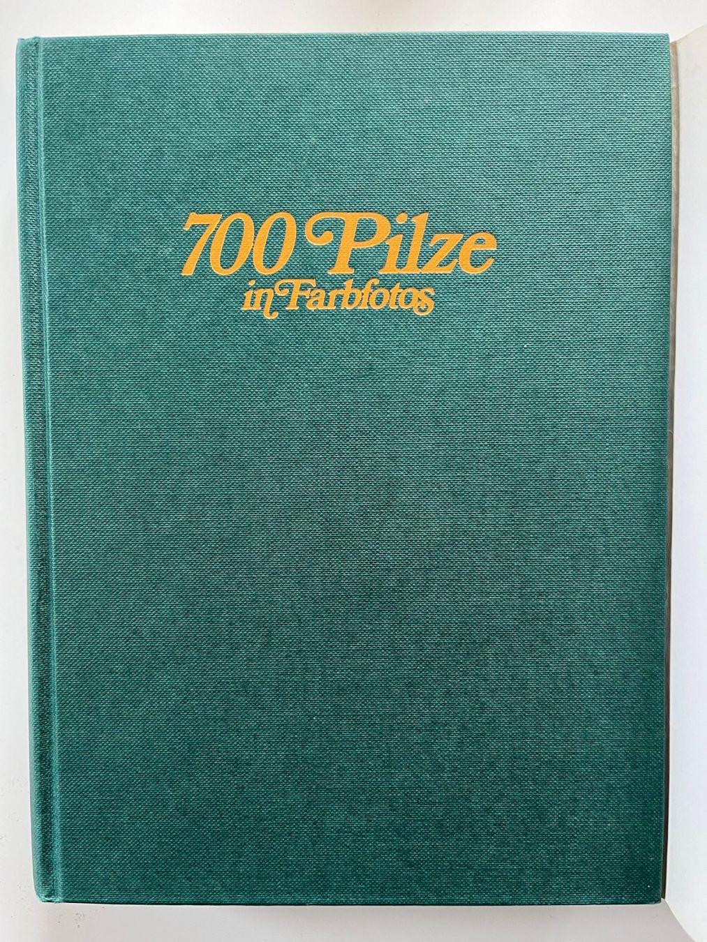 Libri: 700 Pilze in Farbfotos – Usato da Laufen venduto da Nuria44 1