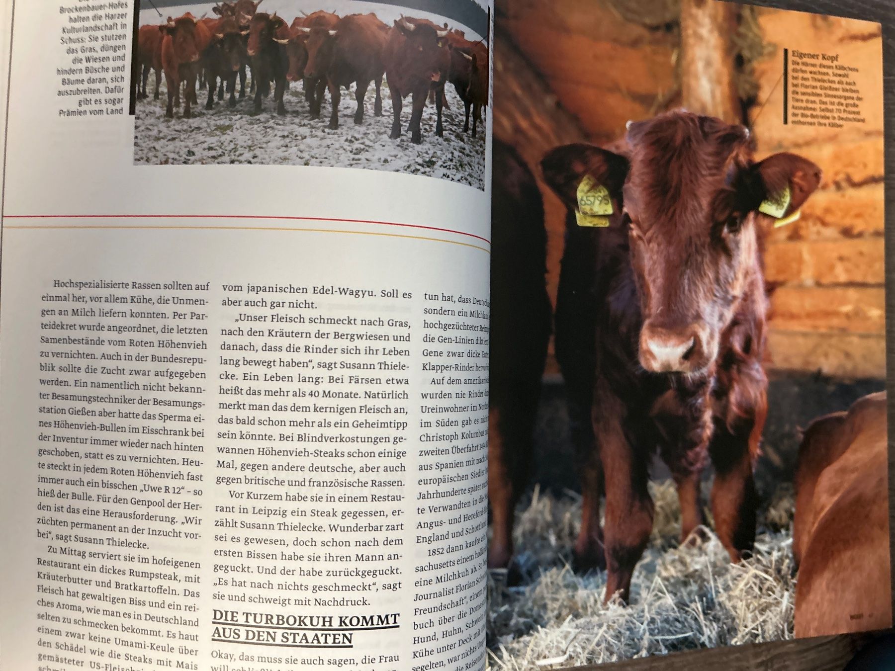 Zeitschriften & Magazine: Beef Magazin Männer Kochen Anders Ausgabe 64 – Gebraucht aus Zollikerberg von Lukem01 1