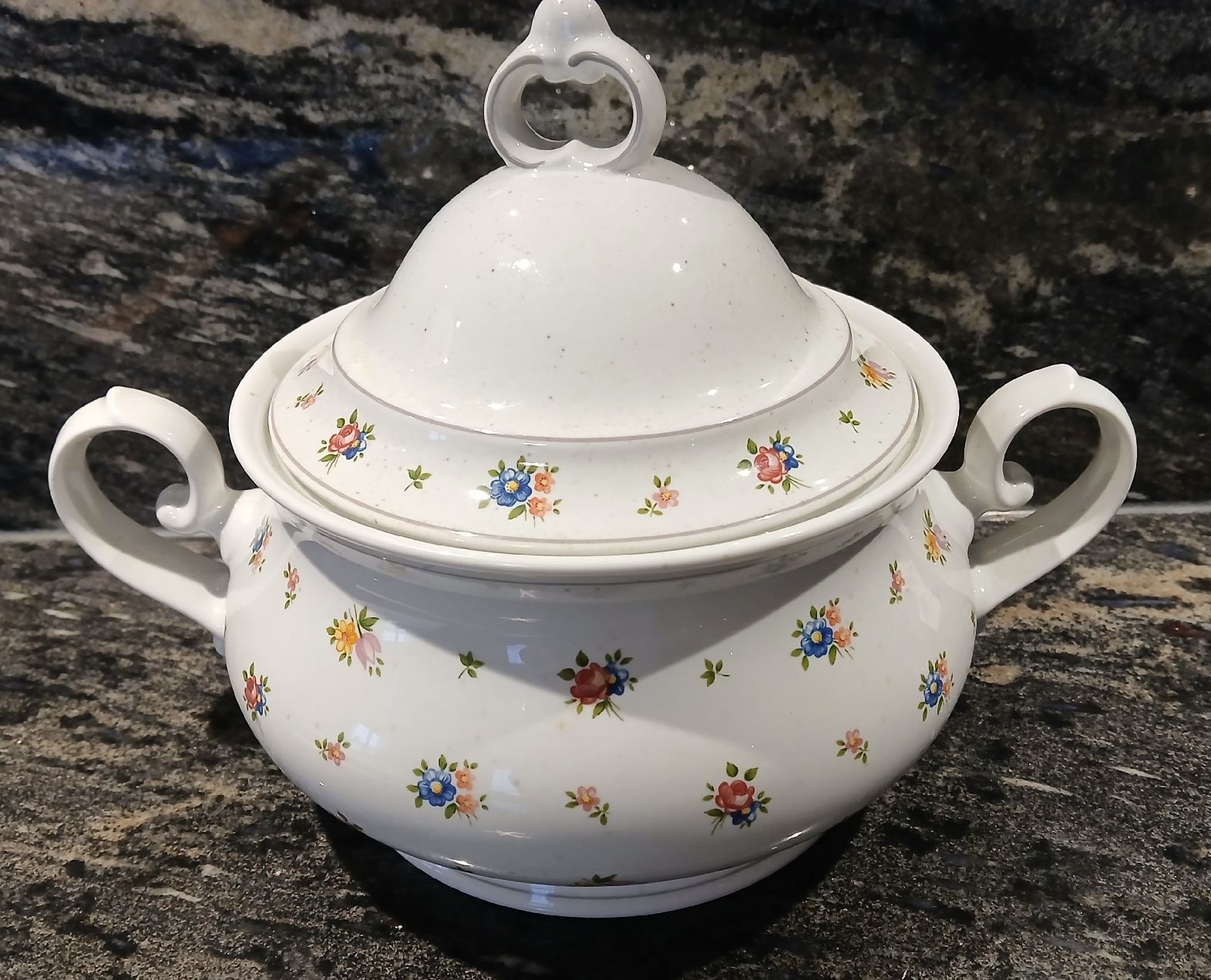 Winterling Ciotole: Winterling Marktleuthen Bavaria Suppenterrine Vintage! – Usato da Frasnacht venduto da ale_g288