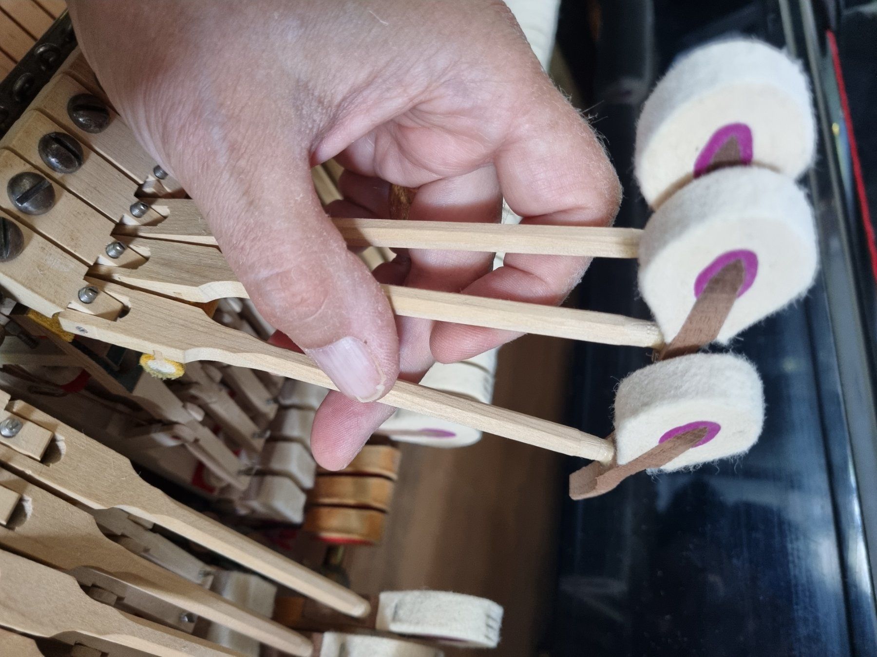 Steinway Strumenti musicali: Steinway B revidiert  1928 Boston – Usato da Winterthur venduto da hadok7 2