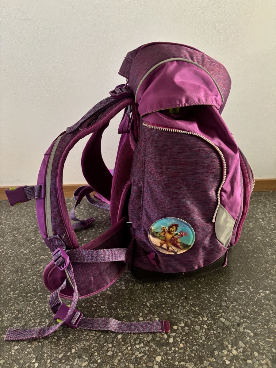 Ergobag Borse & Zaini: Ergobag Schulrucksack – Usato da Chur venduto da vespa-66 1