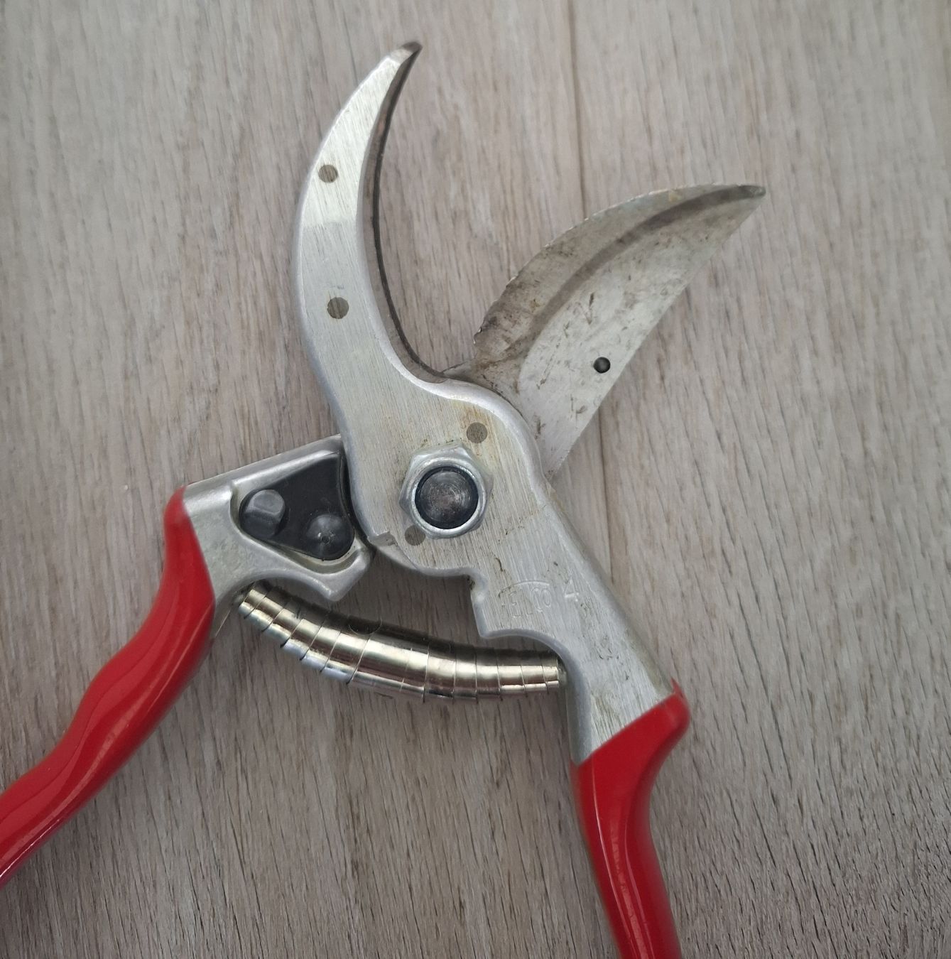Felco Tutti gli attrezzi: Baumschere / Astschere Felco 4 – Usato da Reinach BL venduto da Malin20 4