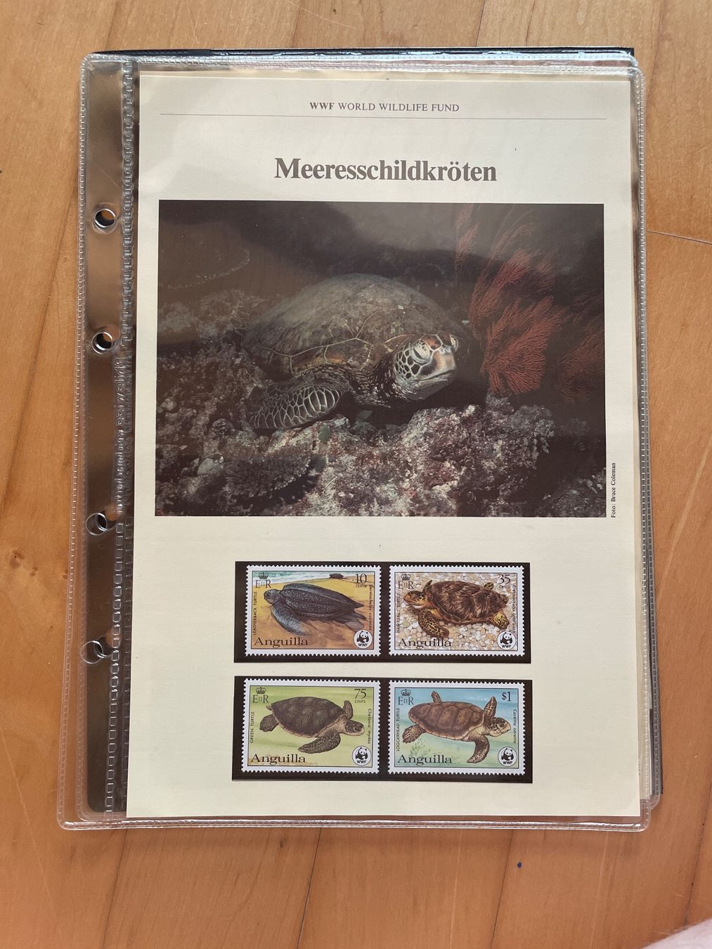 Tutti i francobolli: WWF Set "Meeresschildkröten" – Usato da Altdorf UR venduto da mic_z8bj
