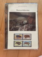 WWF Set "Meeresschildkröten"