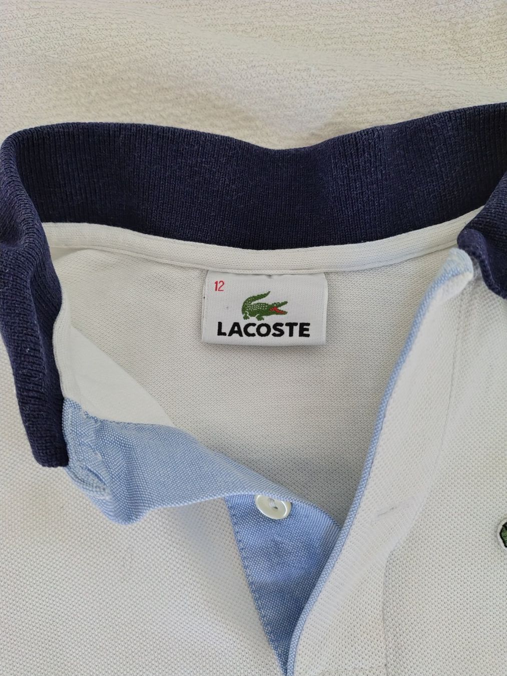 Lacoste Camicie, T-shirt & Polo: Poloshirt Lacoste 6 Jahre – Usato da Schliern b. Köniz venduto da Green3yed 1