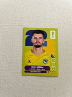 Panini BIH 2