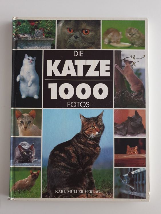 Grosses Katzenbuch - Die Katze 1000 Fotos | Kaufen Auf Ricardo