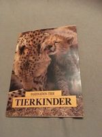Tierkinder STS Schweizer Tierschutz