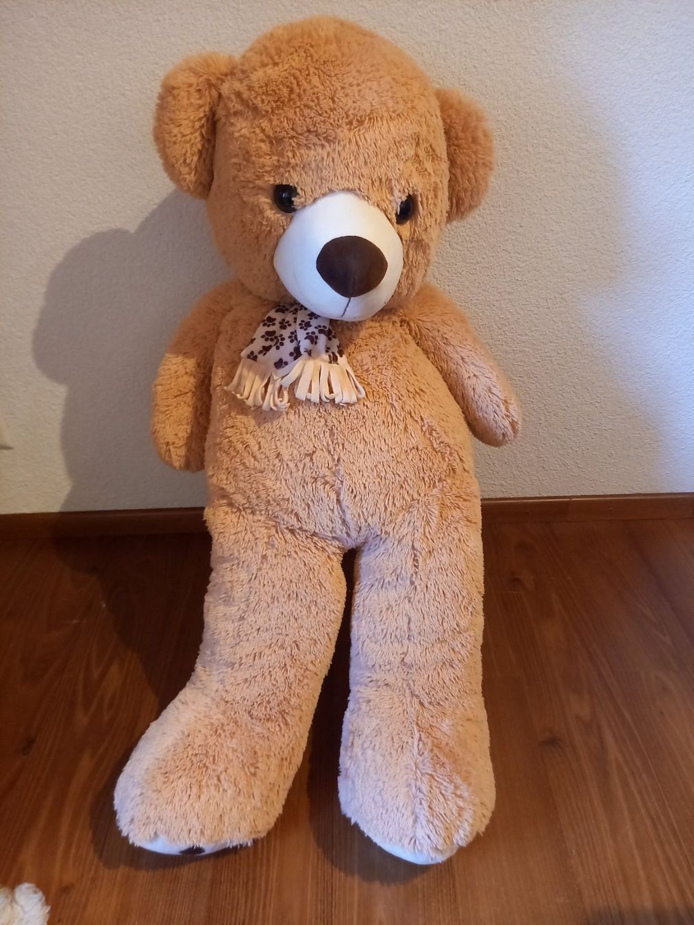 Giocattoli: Teddybär gross – Usato da St. Pantaleon venduto da whity75