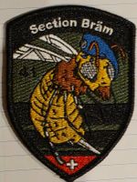 Sanitat Abzeichen Badge Zug Bram Schule 41
