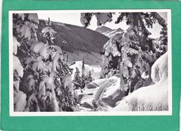 Davos Blick aus dem Schatzalpwald 1962