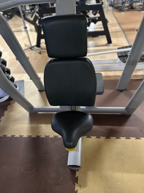 Technogym Hometrainer: Technogym Schulterdrückerbank – Usato da Chur venduto da Mercli
