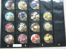 Serie  5 B        Alpenblumen               Gastro