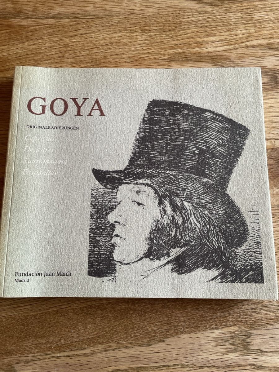 Libri: Goya, Originalradierungen – Usato da Freidorf TG venduto da ibipatria