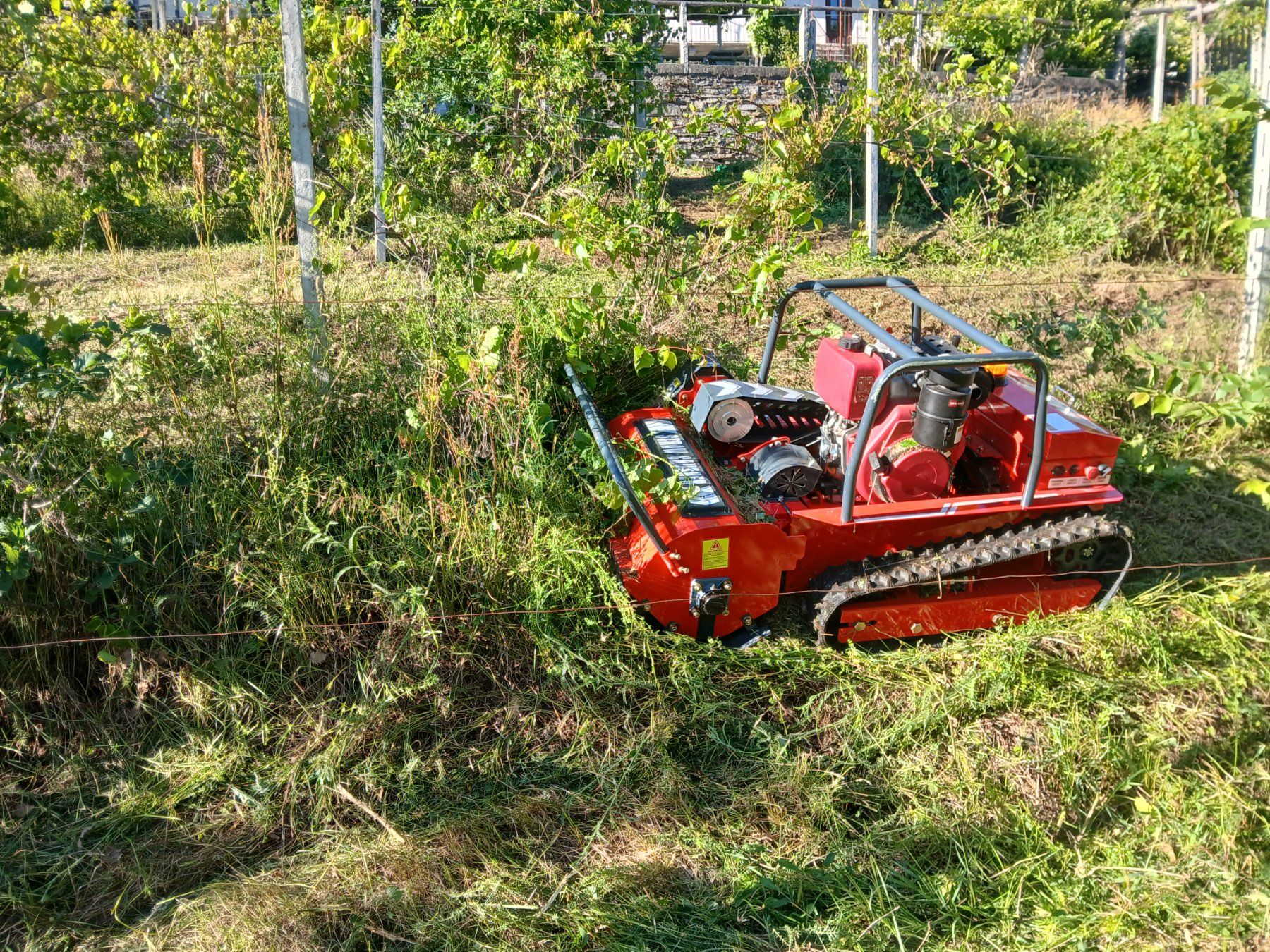 Tutte le macchine: Raupen Mulcher Funkgesteuert – Nuovo (secondo la descrizione) da Oberuzwil venduto da simon9242 5