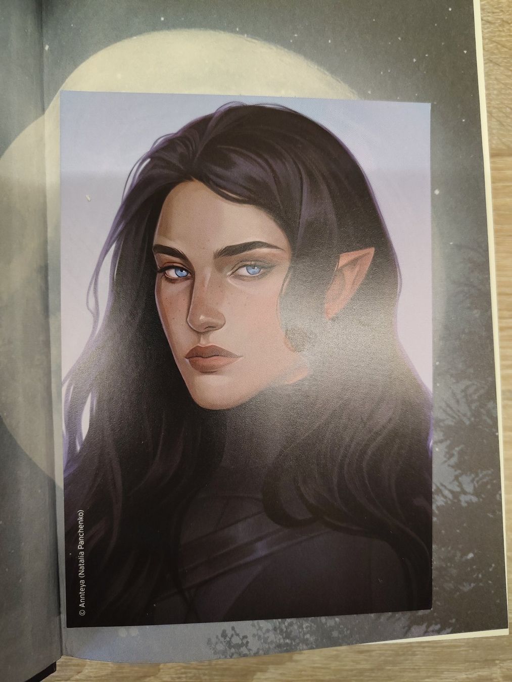Libri: Quicksilver mit Farbschnitt – Usato da Steinen venduto da aislynn 3