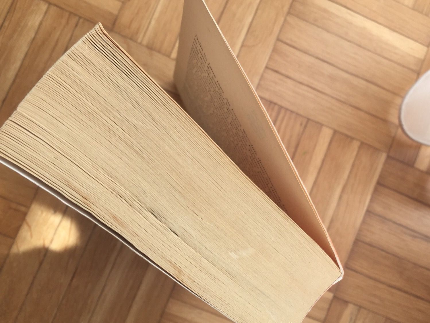 Libri: Rebecca Ryman - Shalimar / Porto 3.40 – Usato da Emmenbrücke venduto da Hathor123 4