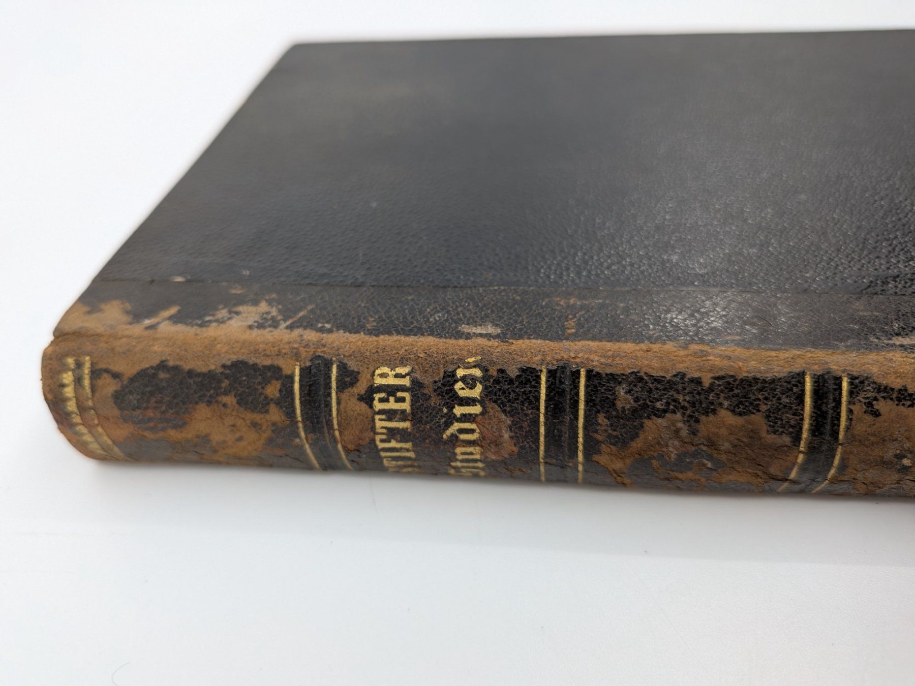 Libri: Antikes Buch Adalbert Stifter Studien 1. Band 1876 – Usato da Emmen venduto da magelan