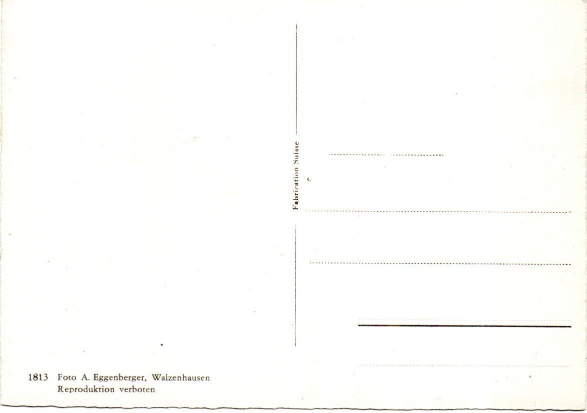 Cartoline postali: AK GRUSS AUS WERDENBERG BUCHS – Usato da Greifensee venduto da scharmant 1