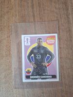 Panini extra Sticker Caicedo lila